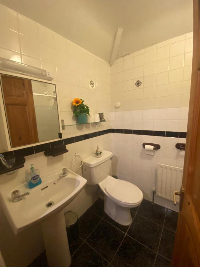 Cosy City Centre Guest Room Shared Home Galway Buitenkant foto